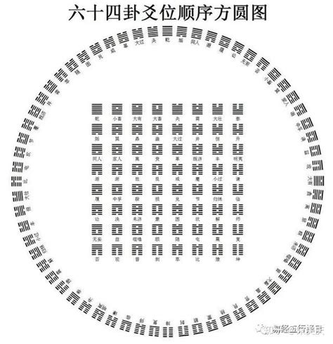 初爻|《易经》六爻的位序排列、阴阳奇偶、得正失正、爻辞。